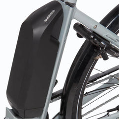 Aspenäs Elfriede Elcykel