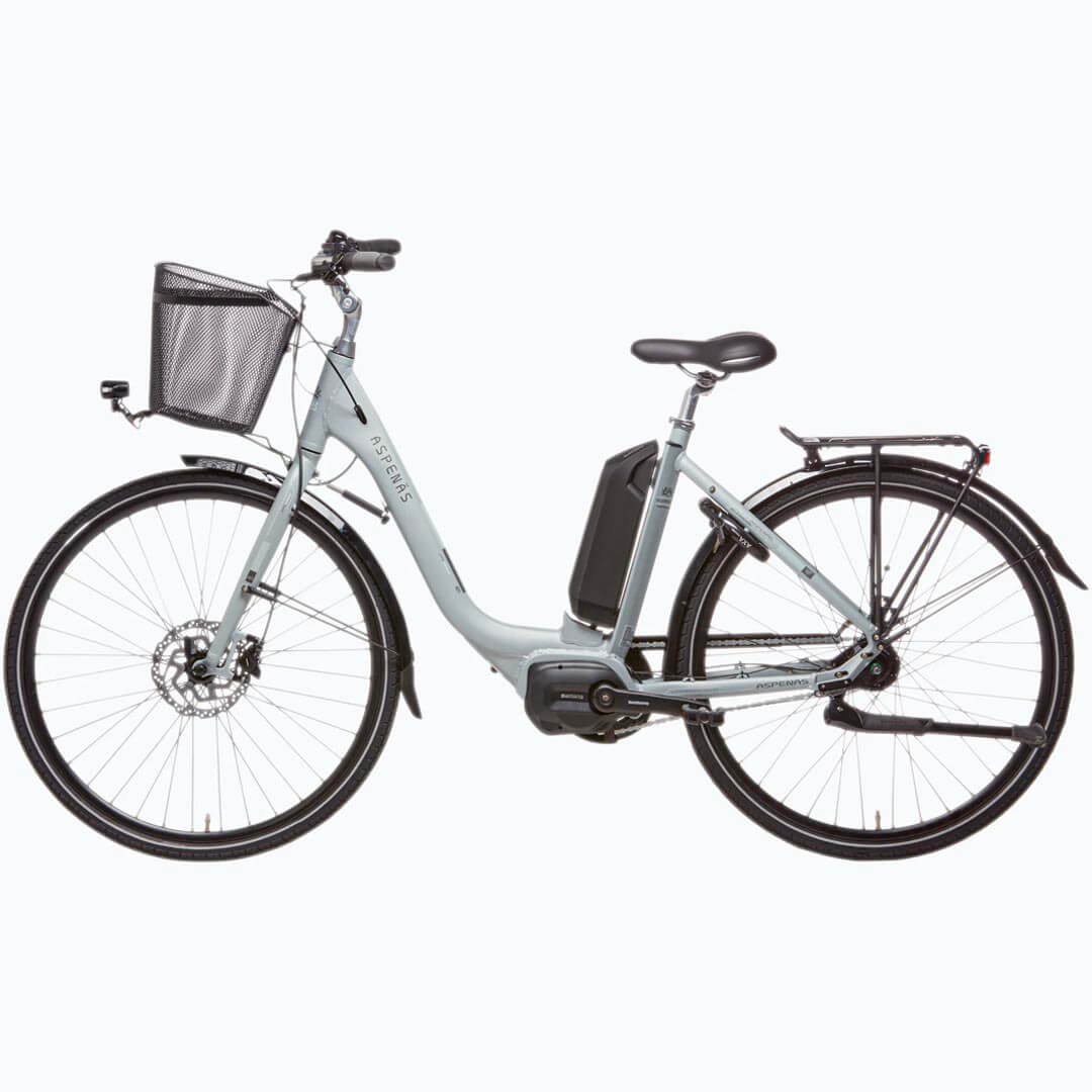 Aspenäs Elfriede Elcykel