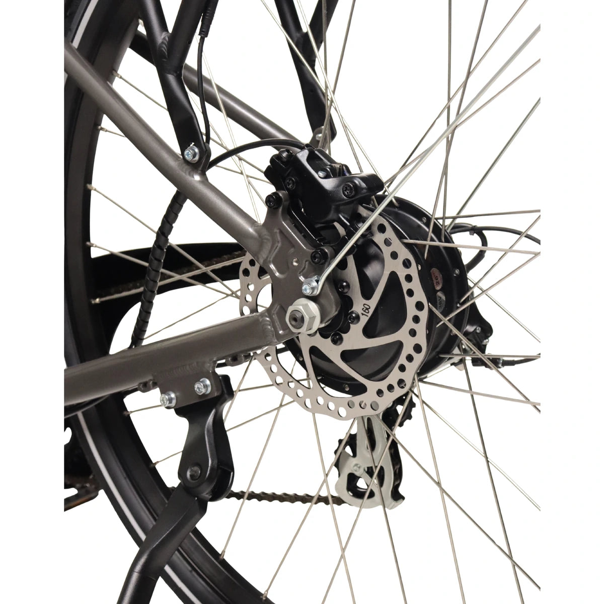 Fantom K30 2026