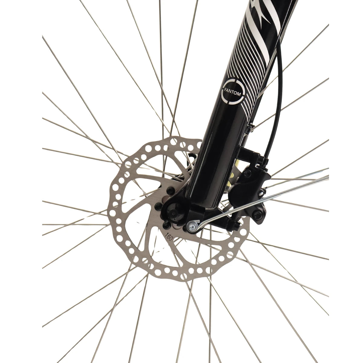 Fantom K30 2026